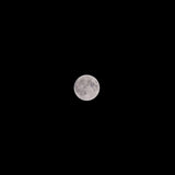 Luna llena