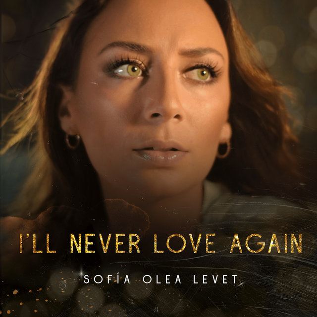 I'll Never Love Again (Cover)