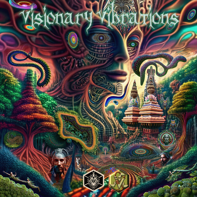 Visionary Vibrations