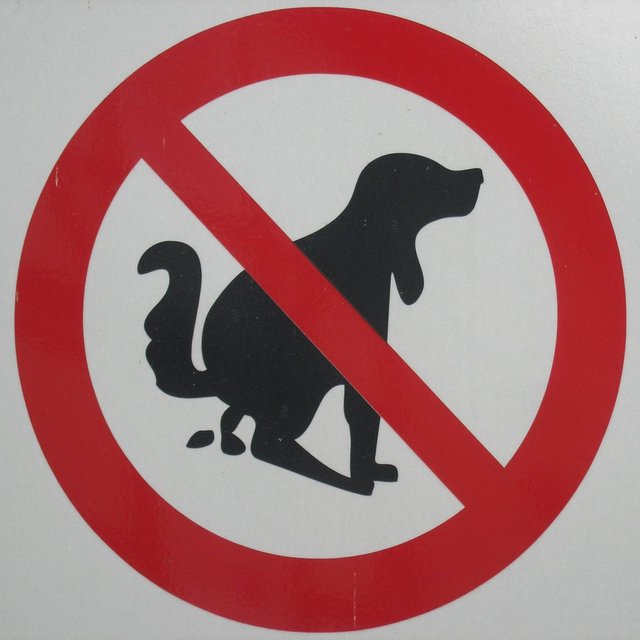 No More Poo