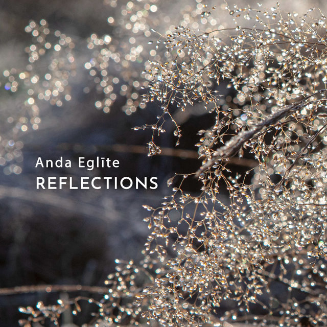 Reflections