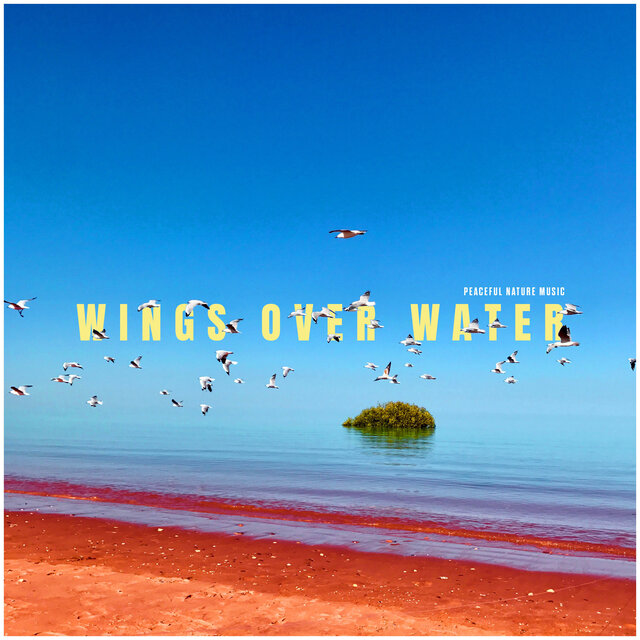 Wings Over Water