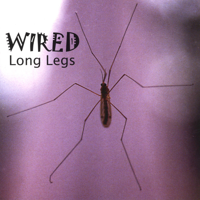 Long Legs