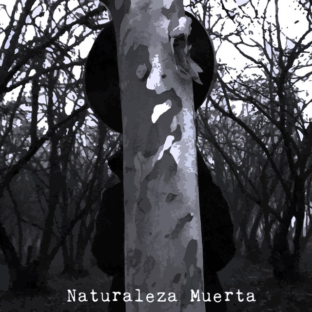 Naturaleza Muerta