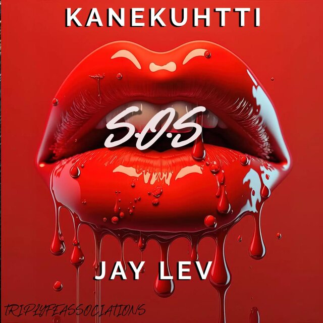 SOS (feat. Jay Lev)