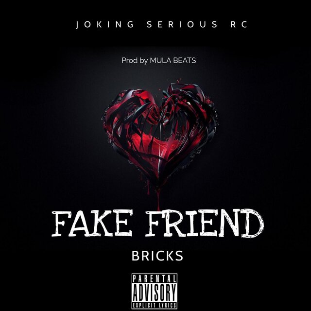 FAKE FRIENDS