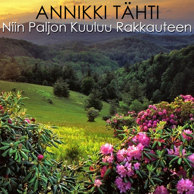 Niin Paljon Kuuluu Rakkauteen