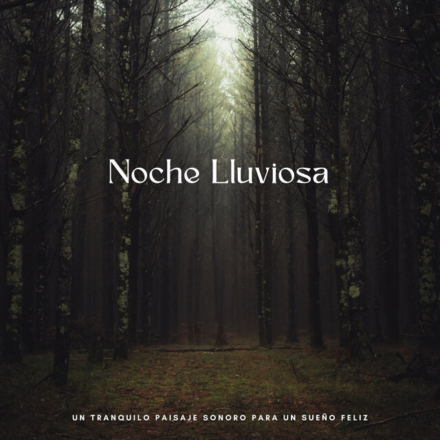 Noche Lluviosa: Un Tranquilo Paisaje Sonoro Para Un Sueño Feliz
