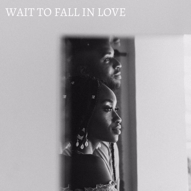 Wait To Fall In Love