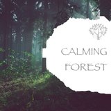 Nature Sounds - Birdsong