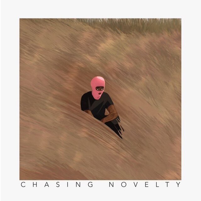 Chasing Novelty