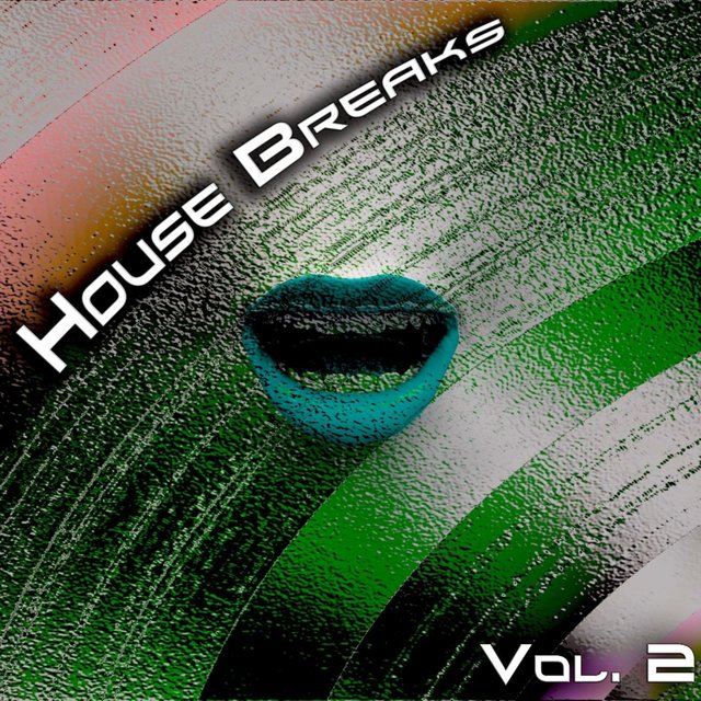 House Breaks, Vol. 2