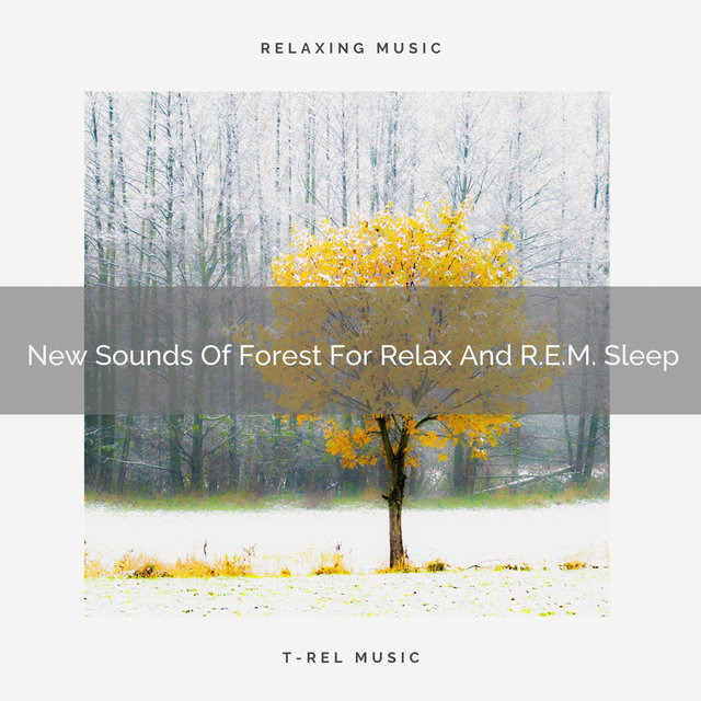 New Sounds Of Forest For Relax And R.E.M. Sleep