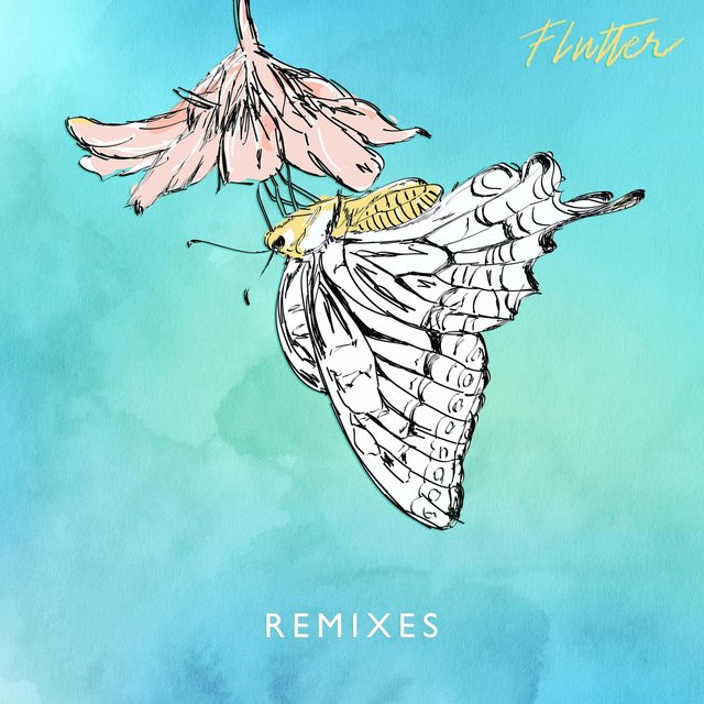 Flutter (Remixes)
