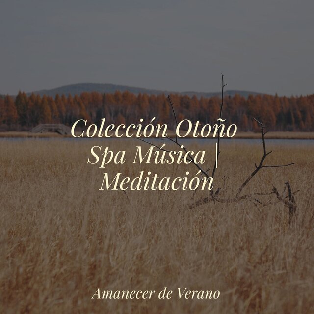 Colección Otoño Spa Música | Meditación