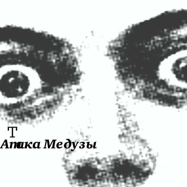 Парашют Афекс Твина