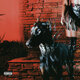 Cover art for album MUTT by Leon Thomas, Wale