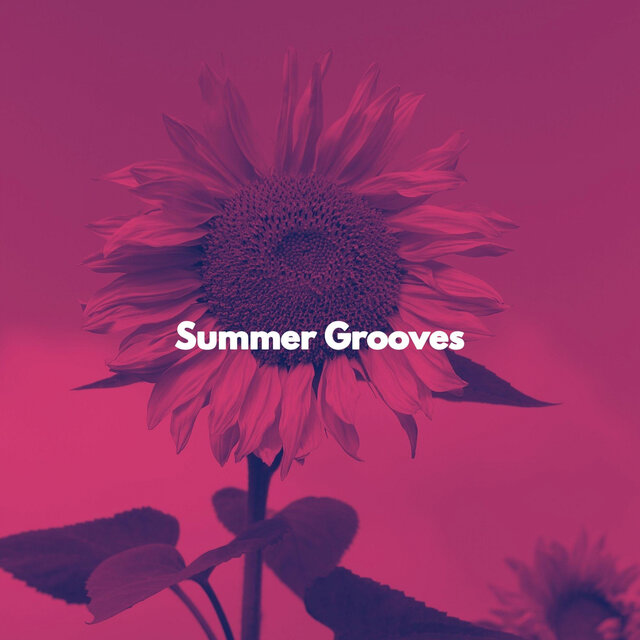 Summer Grooves