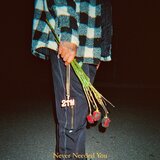 Never Needed You (Outro)