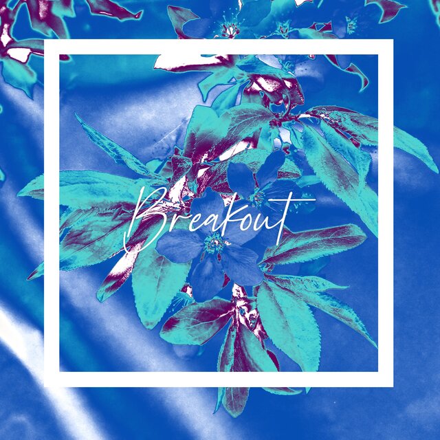 Breakout