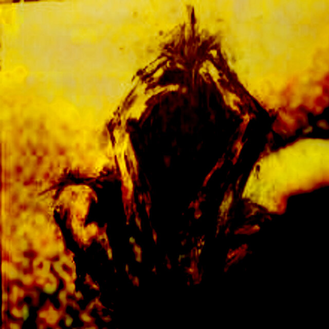 DÜŞ