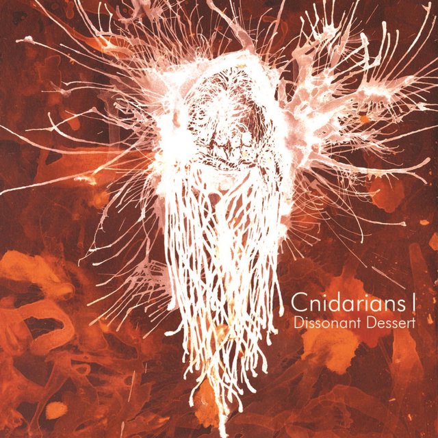 Cnidarians I