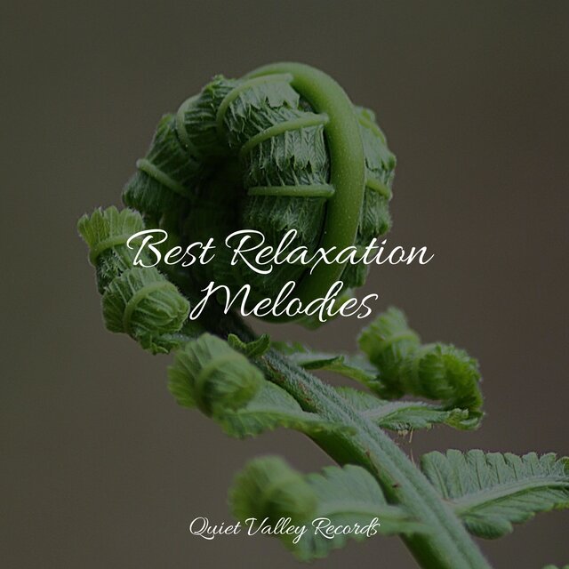 Best Relaxation Melodies