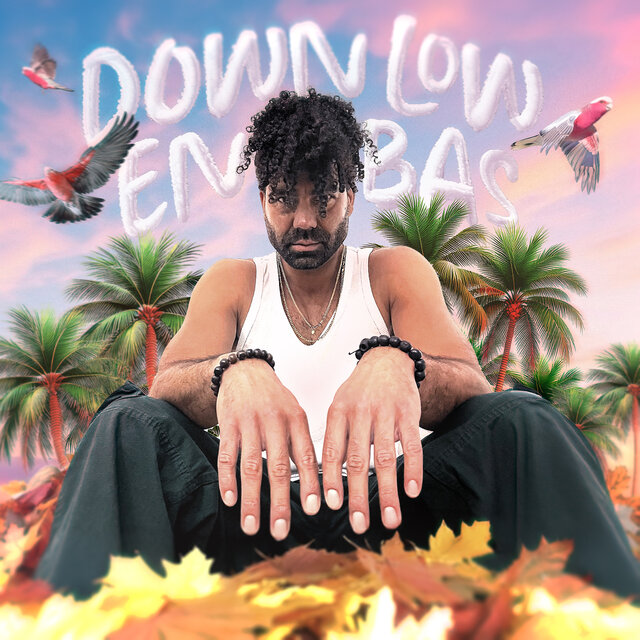 Down Low En Bas