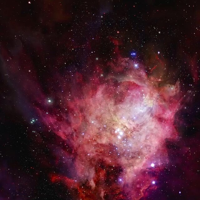 Genesis