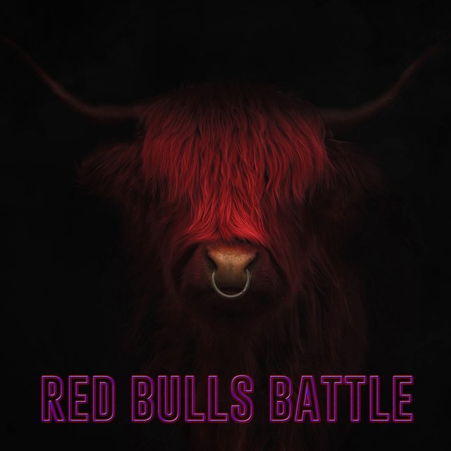 Red Bulls Battle