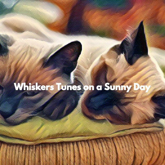 Whiskers Tunes on a Sunny Day