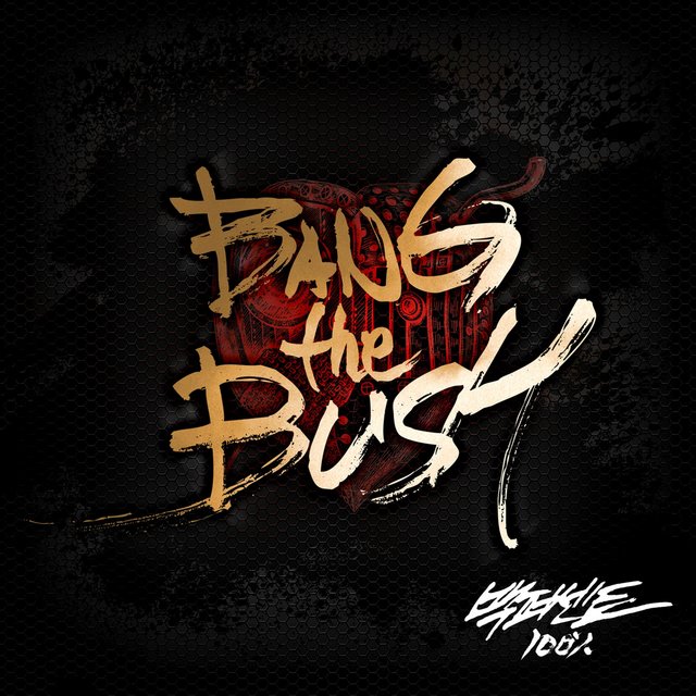 Cover art for album 100% 2nd Mini Album <BANG the BUSH> by 100%