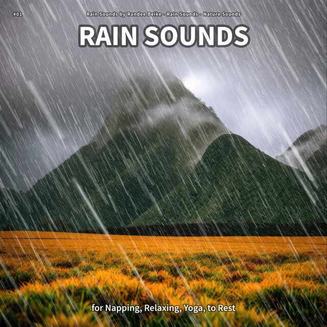#01 Rain Sounds for Napping, Relaxing, Yoga, to Rest