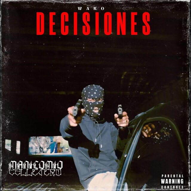 Decisiones