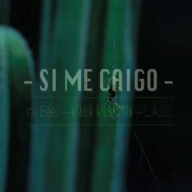 Si me Caigo