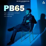 PB 65