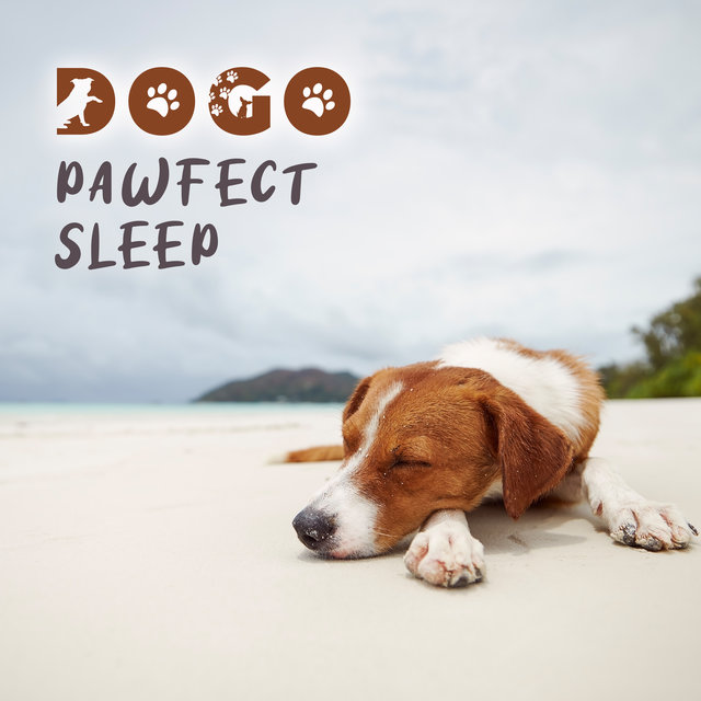 Dogo Pawfect Sleep: Calming Sounds for Your Pet to Sleep, Relax