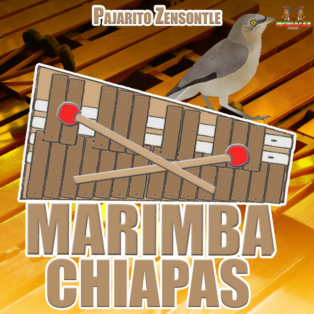 Pajaro Cenzontle