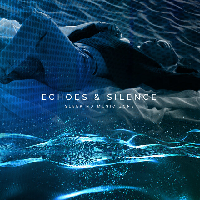 Echoes  Silence