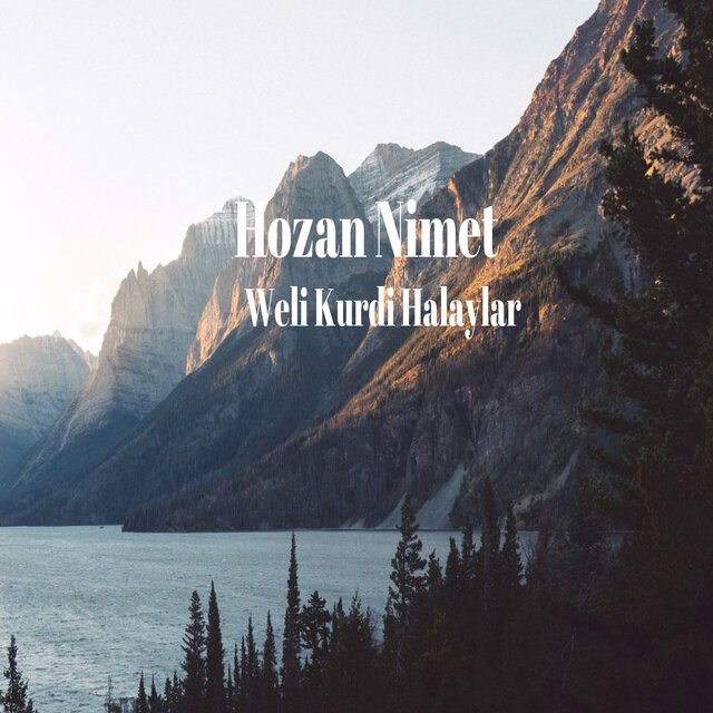 Weli Kurdi Halaylar