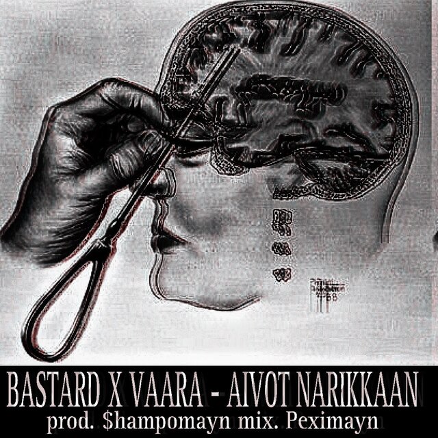 AIVOT NARIKKAAN
