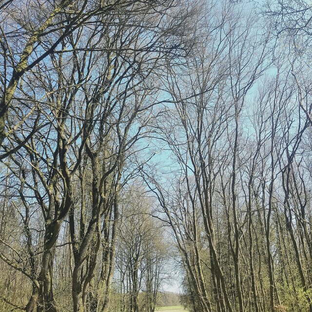 Spring Feelings