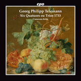 Trio Sonata in C Major, TWV 42:C1: VII. Dido. Triste - Disperato