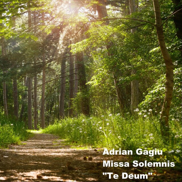 Missa Solemnis, 