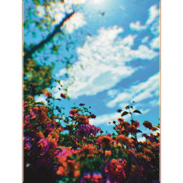 Feelings