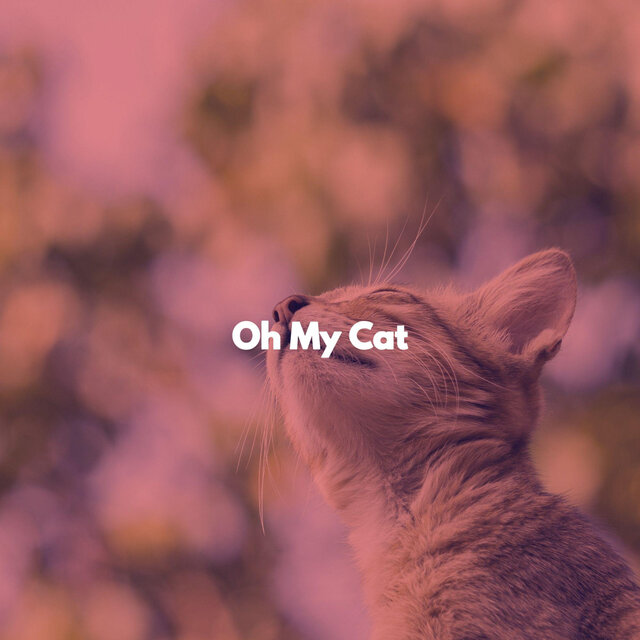 Oh My Cat