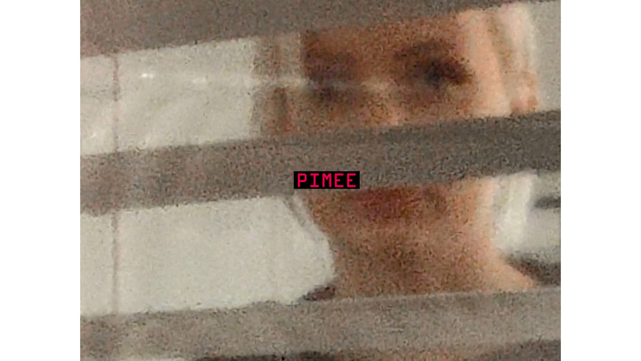 Pimee (Vertical Lyric Video)