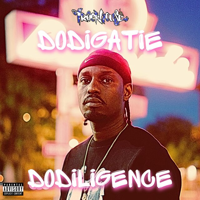 DODiLiGENCE