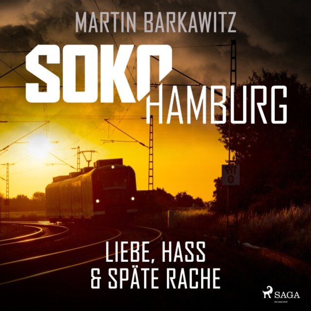Soko Hamburg: Liebe, Hass & späte Rache (Ein Fall für Heike Stein, Band 10)
