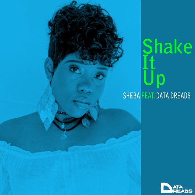 Shake It Up (Club Mix)